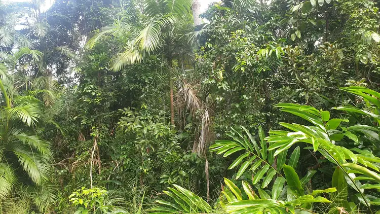 Second view of Homely land listing, LOT 62 GREENDALE COURT, Jubilee Heights QLD 4860