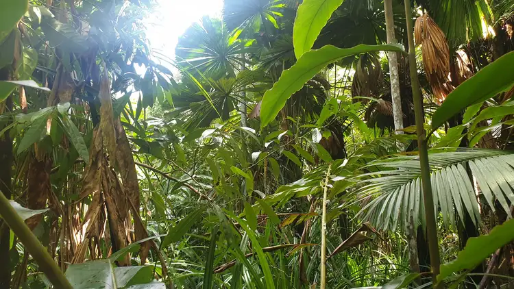 Third view of Homely land listing, LOT 62 GREENDALE COURT, Jubilee Heights QLD 4860