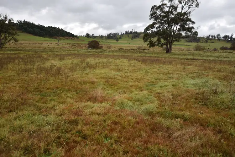 Fifth view of Homely house listing, 81 Burns Rd, Caveside TAS 7304