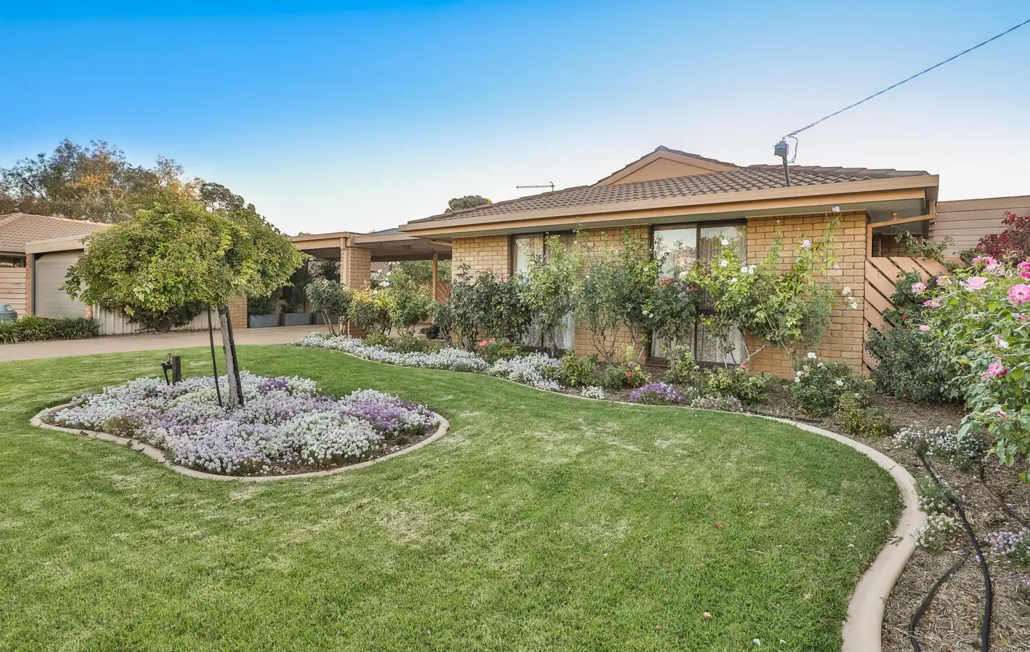 Main view of Homely house listing, 10 Panorama Drive, Mildura VIC 3500