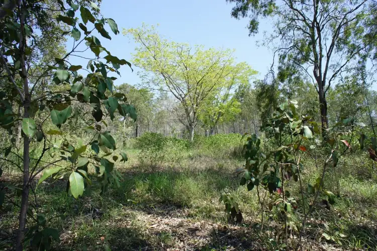 Third view of Homely land listing, 63 Claytons Road, Lowmead QLD 4676