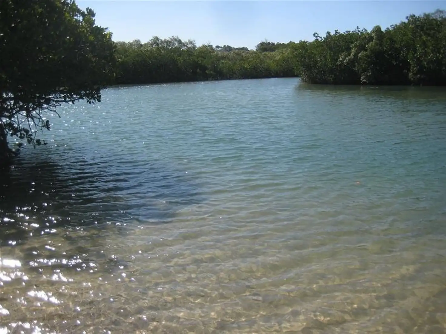 Main view of Homely land listing, 139 Davenport Drive, Coonarr QLD 4670