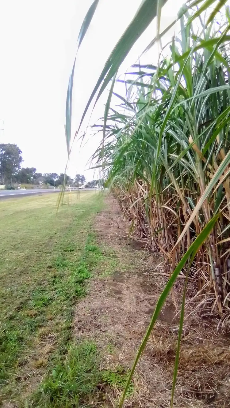 Fourth view of Homely land listing, Lot 1/0 Gin Gin Road, South Kolan QLD 4670