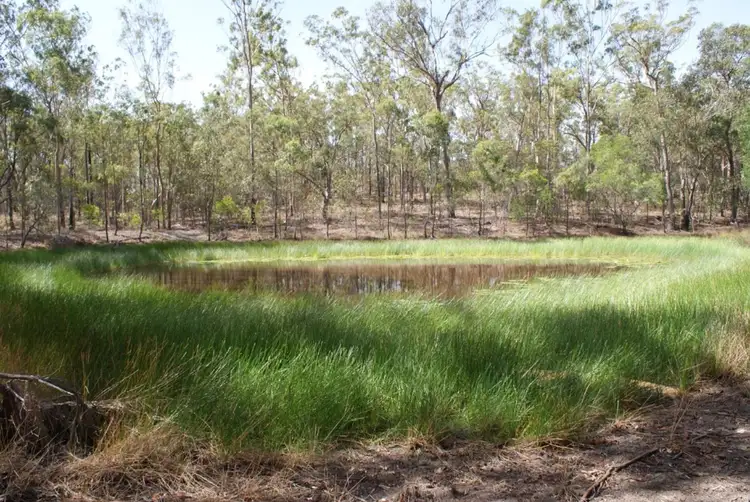 Third view of Homely rural property listing, 290 Mineral Road, Rosedale QLD 4674