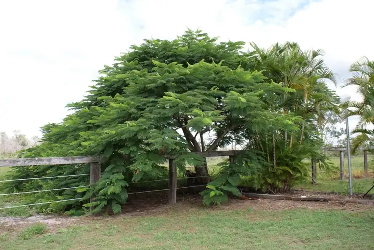 Fifth view of Homely rural property listing, 15 Mitchell Road, Mount Maria QLD 4674