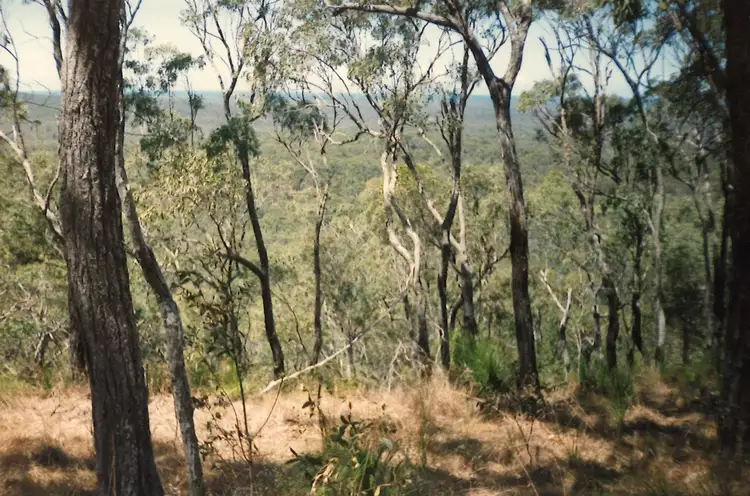 Second view of Homely rural property listing, Lot 10 Muller Road, Baffle Creek QLD 4674