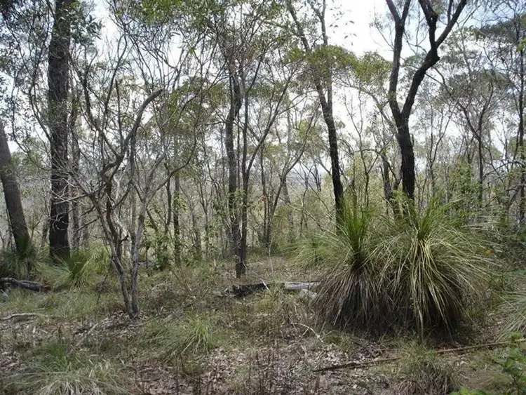 Third view of Homely rural property listing, Lot 10 Muller Road, Baffle Creek QLD 4674