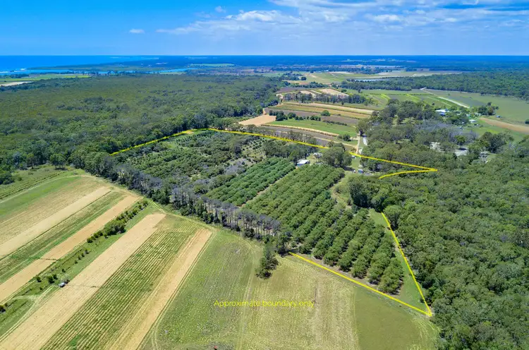 1076 North Littabella Road, Mullett Creek QLD 4670