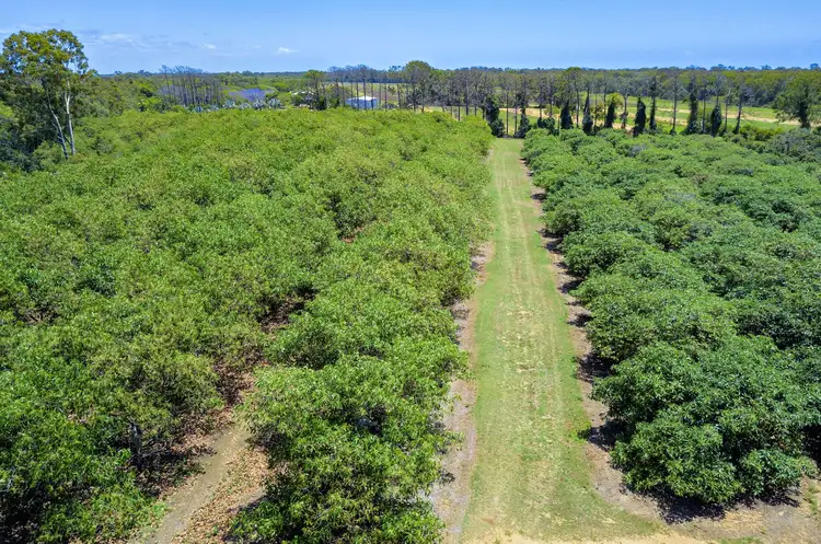 Third view of Homely rural property listing, 1076 North Littabella Road, Mullett Creek QLD 4670