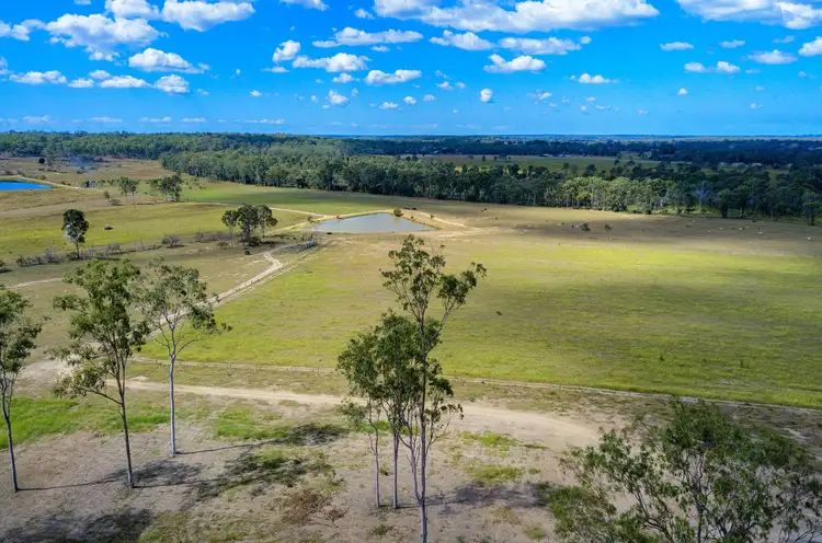 Fifth view of Homely rural property listing, 557 North Bucca Road, Bucca QLD 4670