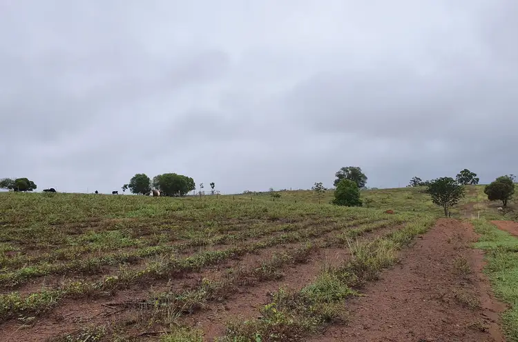 Fourth view of Homely rural property listing, Lot 2/0 South Bucca Road, Bucca QLD 4670