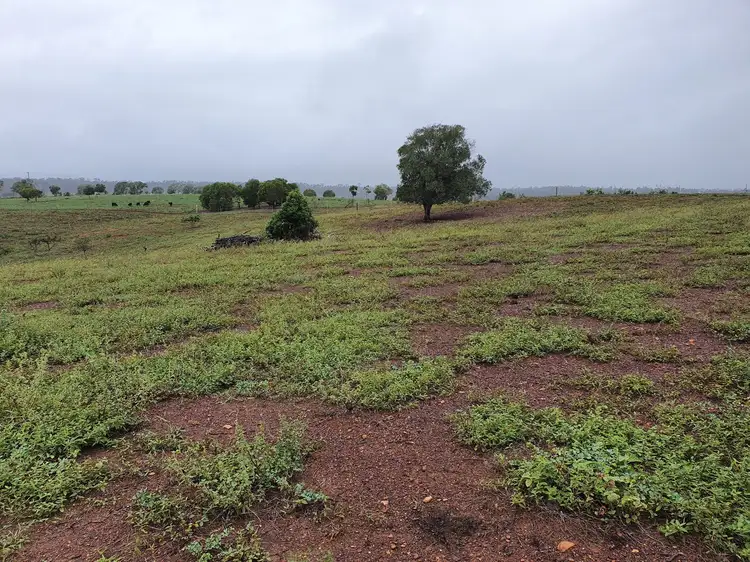 Fifth view of Homely rural property listing, Lot 2/0 South Bucca Road, Bucca QLD 4670