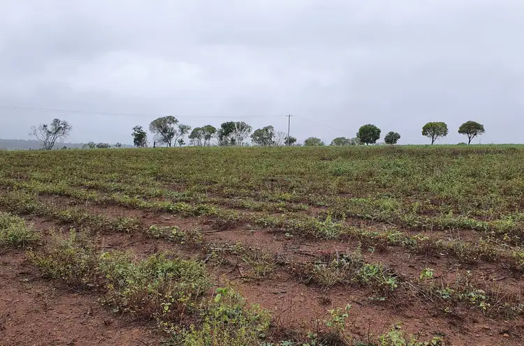 Sixth view of Homely rural property listing, Lot 2/0 South Bucca Road, Bucca QLD 4670