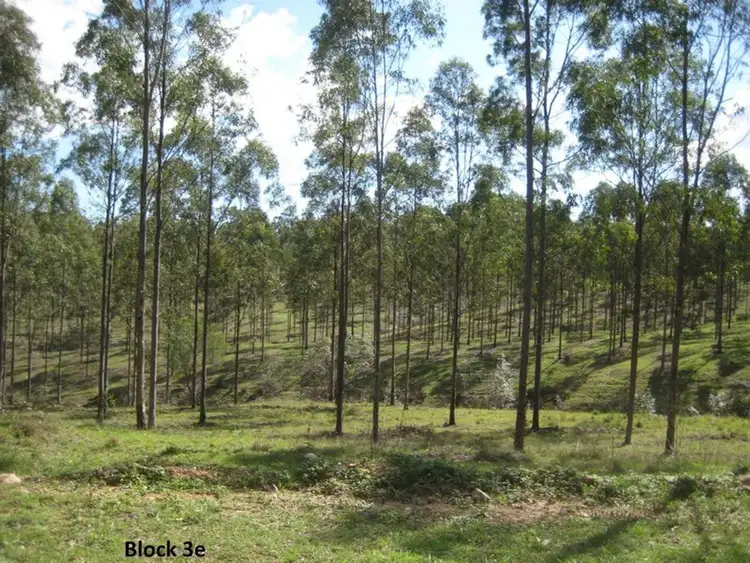 Third view of Homely rural property listing, 1675 Svenssons Road, Duingal QLD 4671