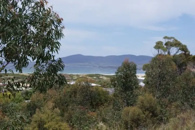 Lot 33 Wrinklers Drive, Scamander TAS 7215