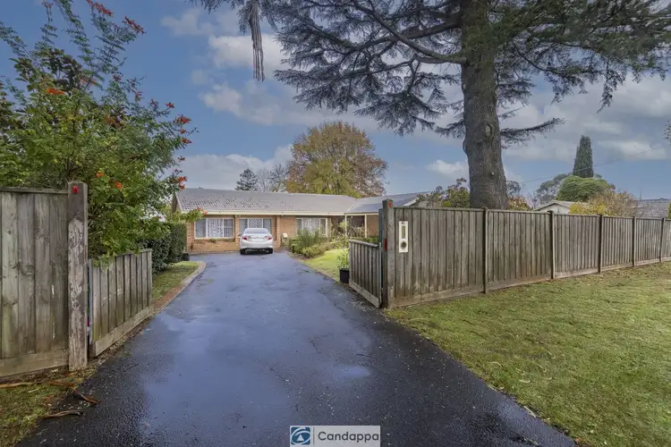 Main view of Homely house listing, 41 Albert Road, Drouin VIC 3818