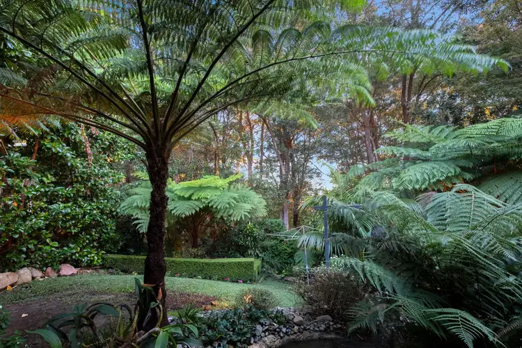 Fifth view of Homely house listing, 6 Bouvardia Street, Niagara Park NSW 2250