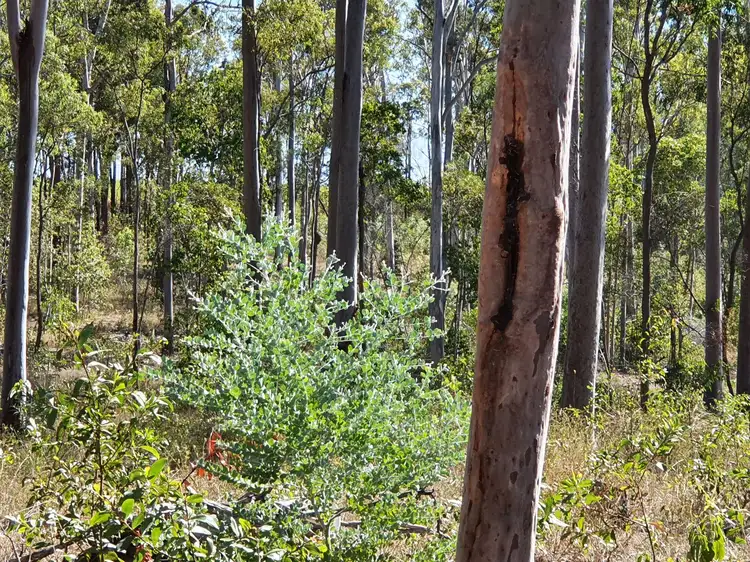 Fourth view of Homely land listing, Lot/4 & 5 Rosedale Road, Avondale QLD 4670