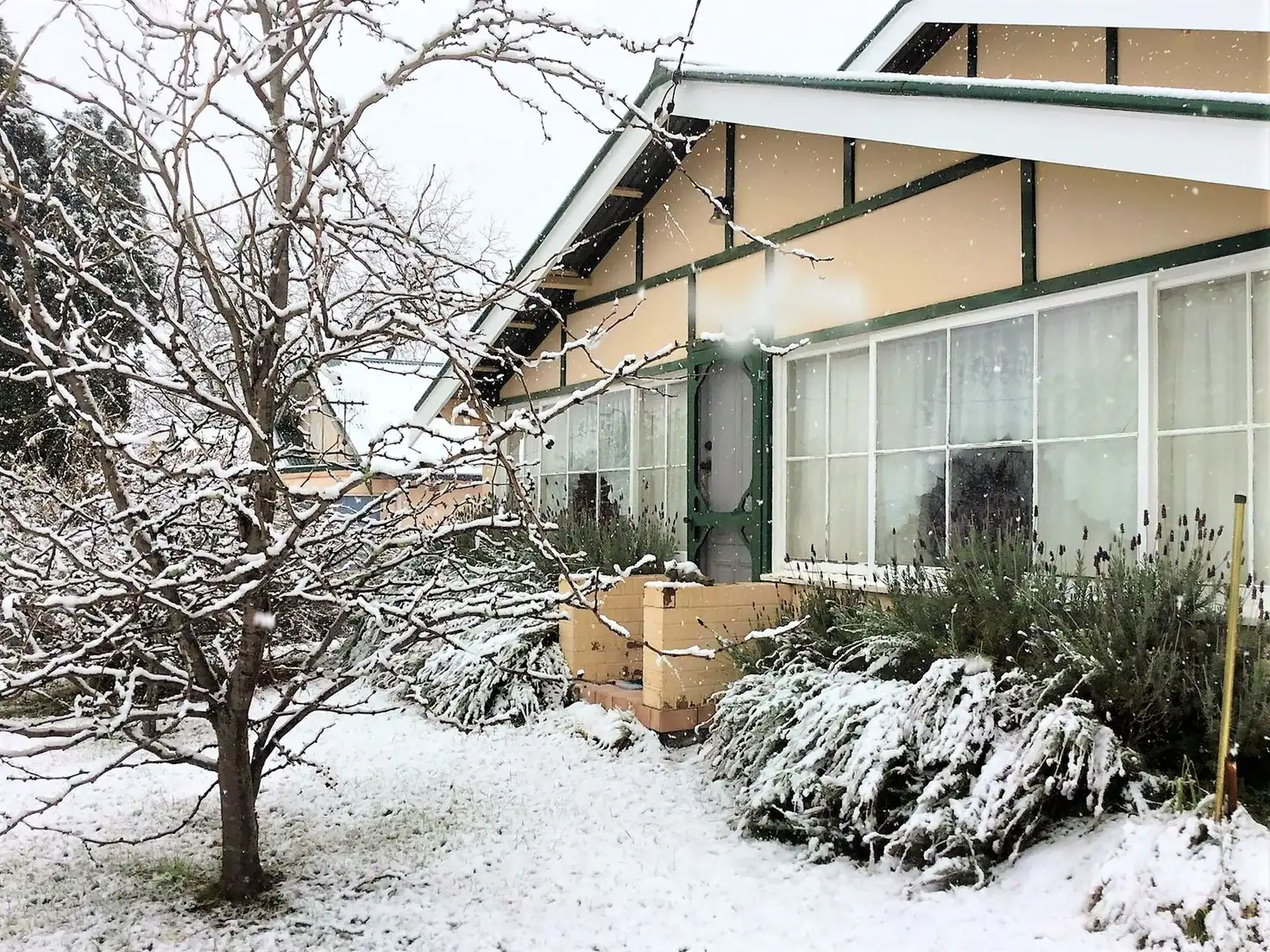 Main view of Homely house listing, 3 Park Avenue, Portland NSW 2847