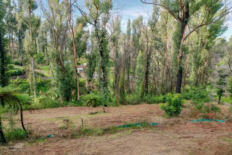 Third view of Homely land listing, 10 Figtree Close, Surf Beach NSW 2536