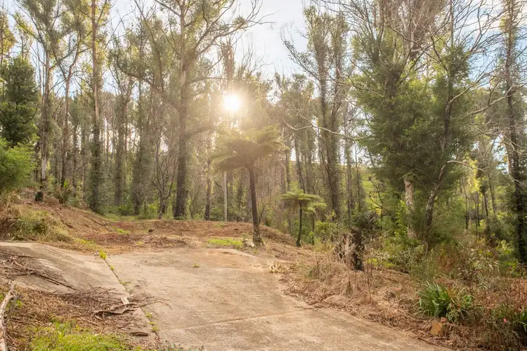 Sixth view of Homely land listing, 10 Figtree Close, Surf Beach NSW 2536