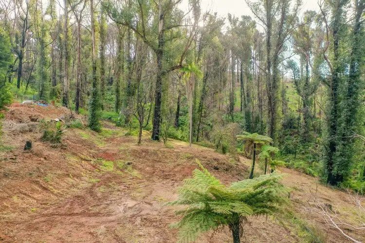 Seventh view of Homely land listing, 10 Figtree Close, Surf Beach NSW 2536