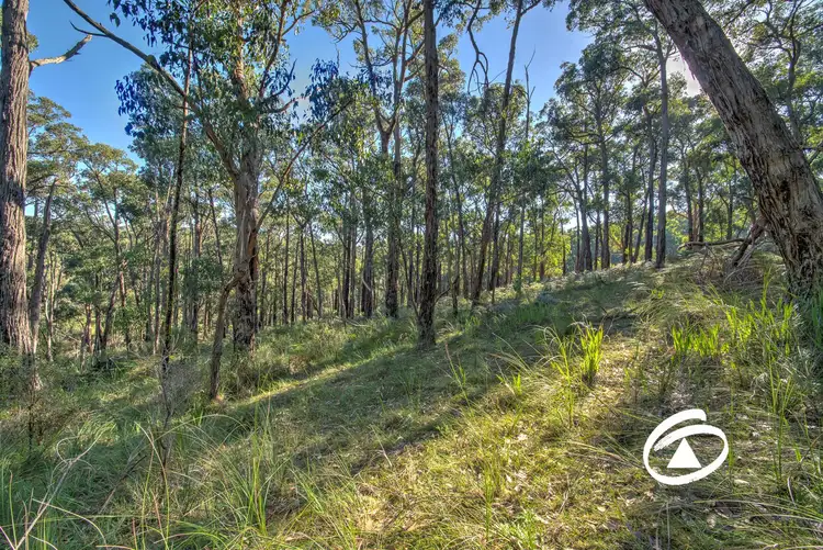 Fifth view of Homely rural property listing, Lot 1 Borchardt Street, Guys Hill VIC 3807