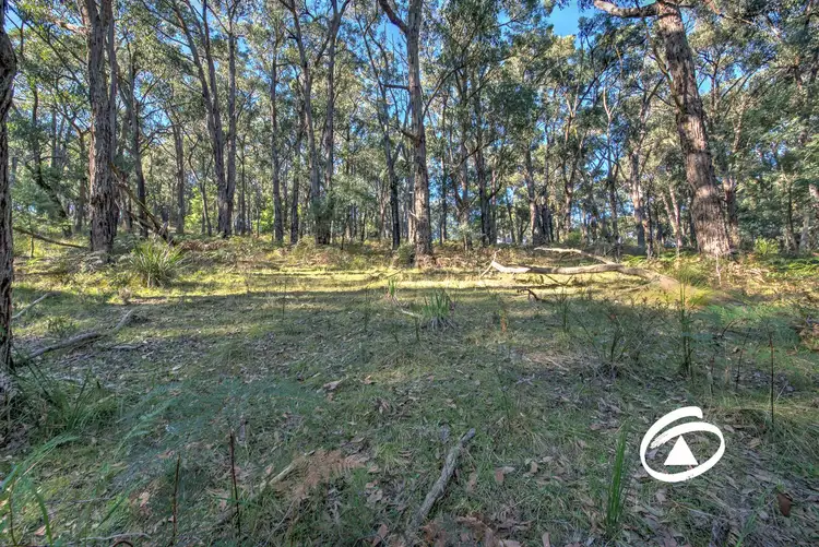 Sixth view of Homely rural property listing, Lot 1 Borchardt Street, Guys Hill VIC 3807