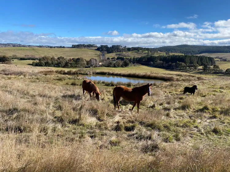 82 Wilson Drive, Oberon NSW 2787