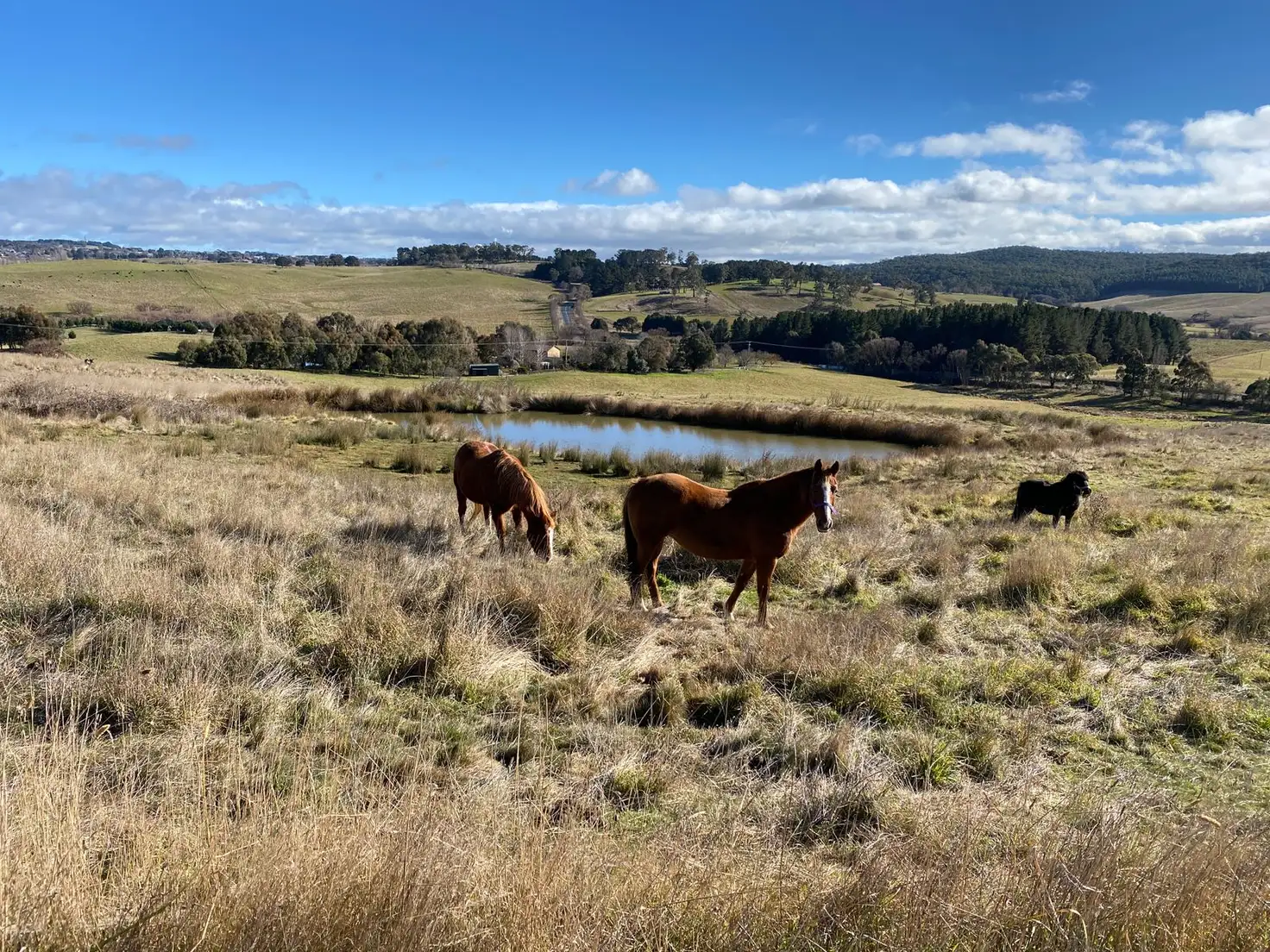 Main view of Homely land listing, 82 Wilson Drive, Oberon NSW 2787