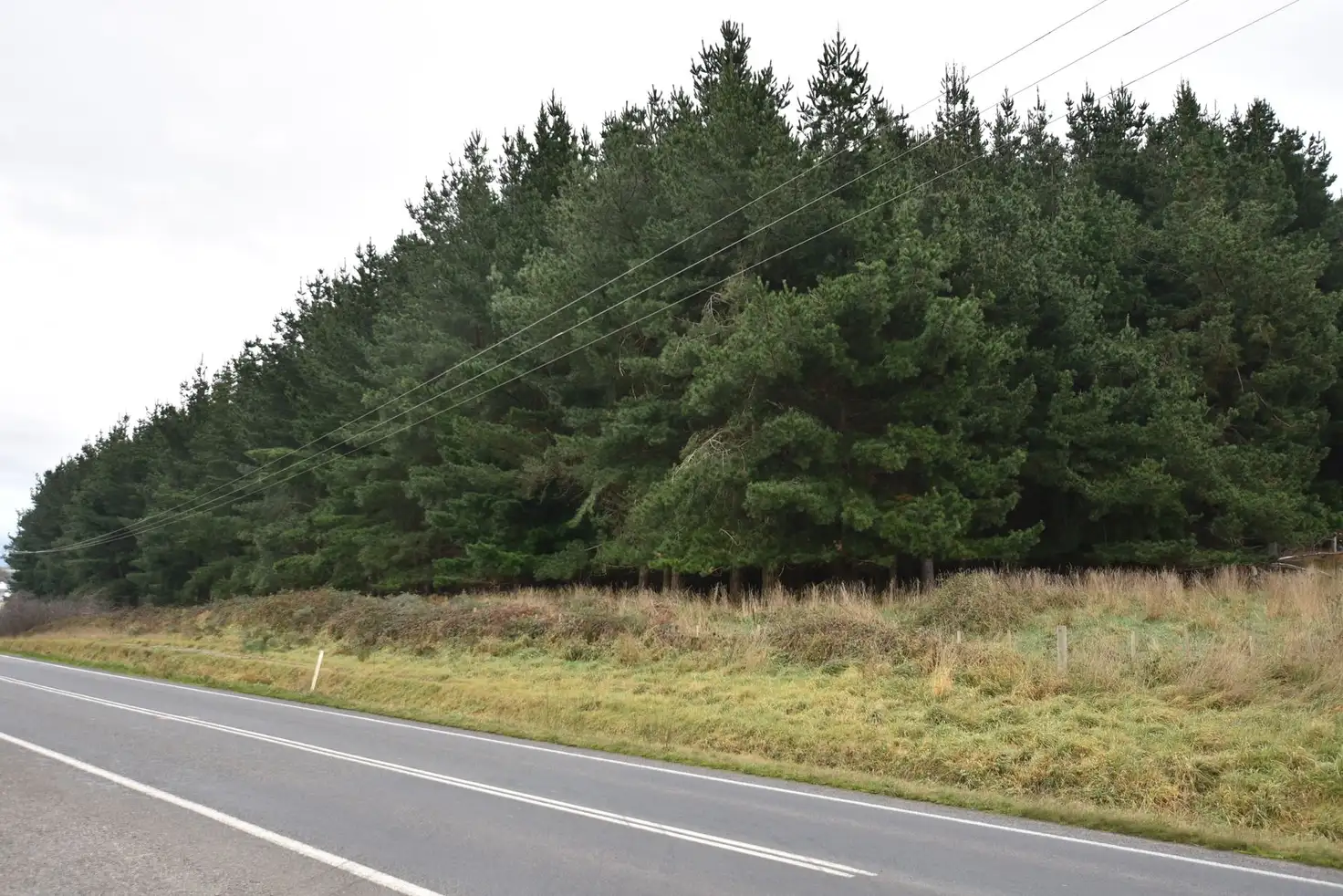 Main view of Homely rural property listing, Lot 1 Mole Creek Rd, Red Hills TAS 7304