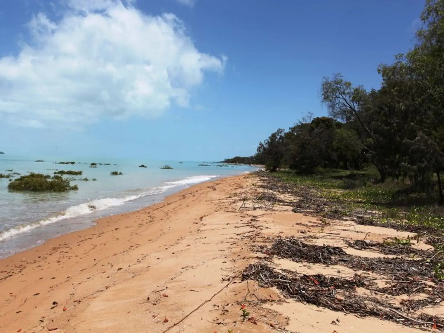 Main view of Homely house listing, 81 Colonial Drive, Clairview QLD 4741