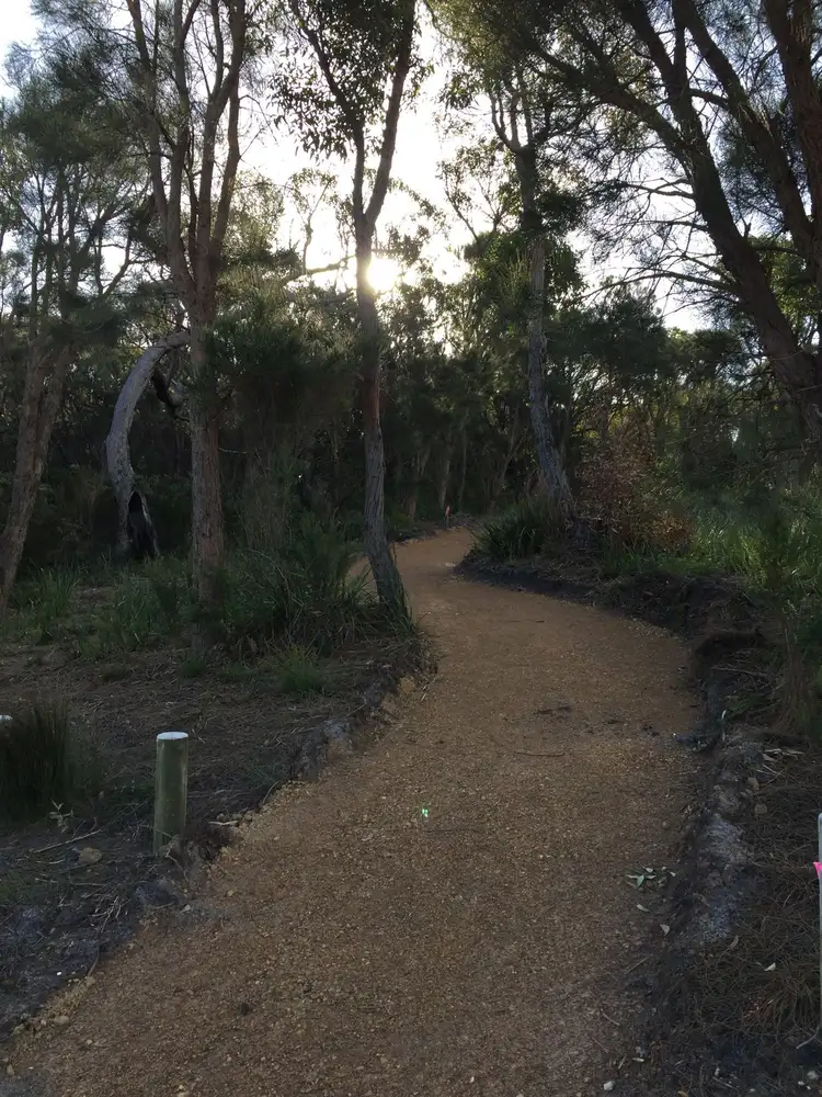 Second view of Homely land listing, 38 Bandicoot Drive, Lange WA 6330