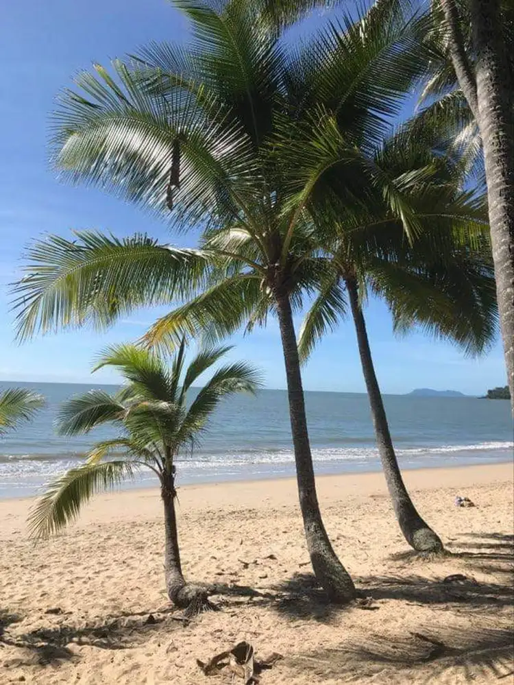 Fifth view of Homely house listing, 14 Kurt Close, Palm Cove QLD 4879