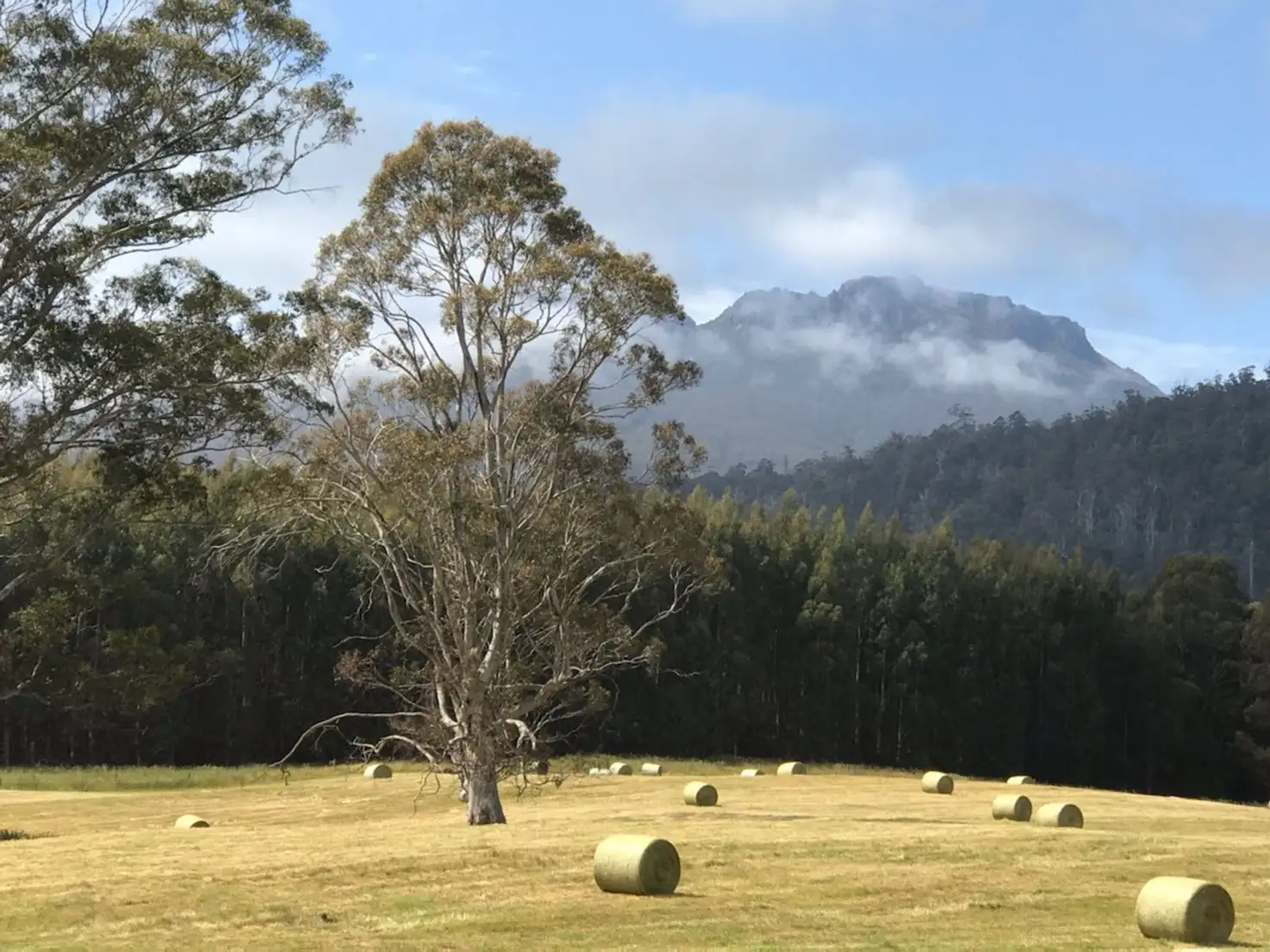 Main view of Homely rural property listing, Address available on request