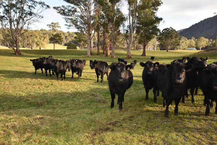 Fourth view of Homely rural property listing, Address available on request