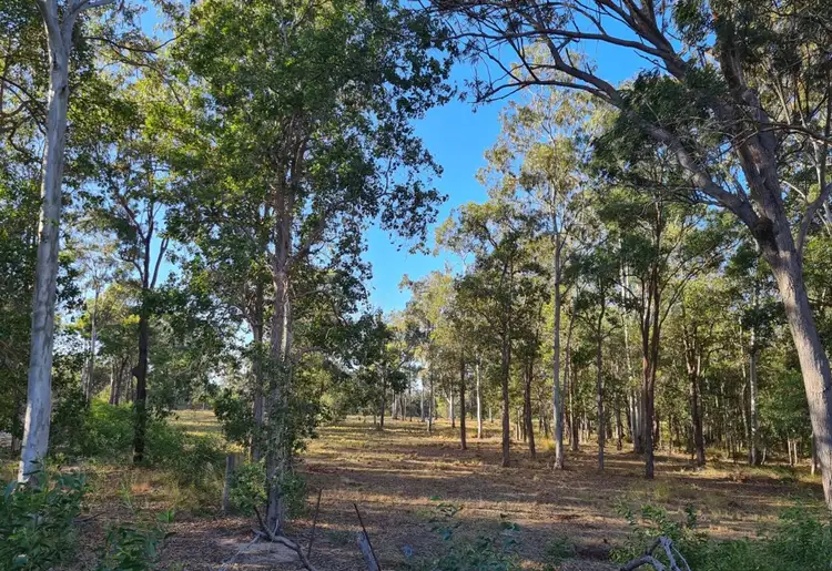 Fourth view of Homely rural property listing, 1159 Coast Road, Baffle Creek QLD 4674
