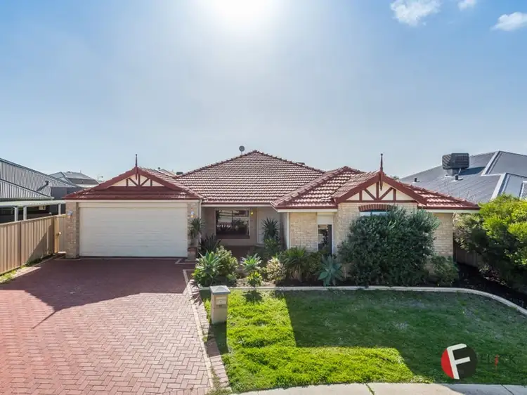 Main view of Homely house listing, 31 Bodorgan Ave, Butler WA 6036