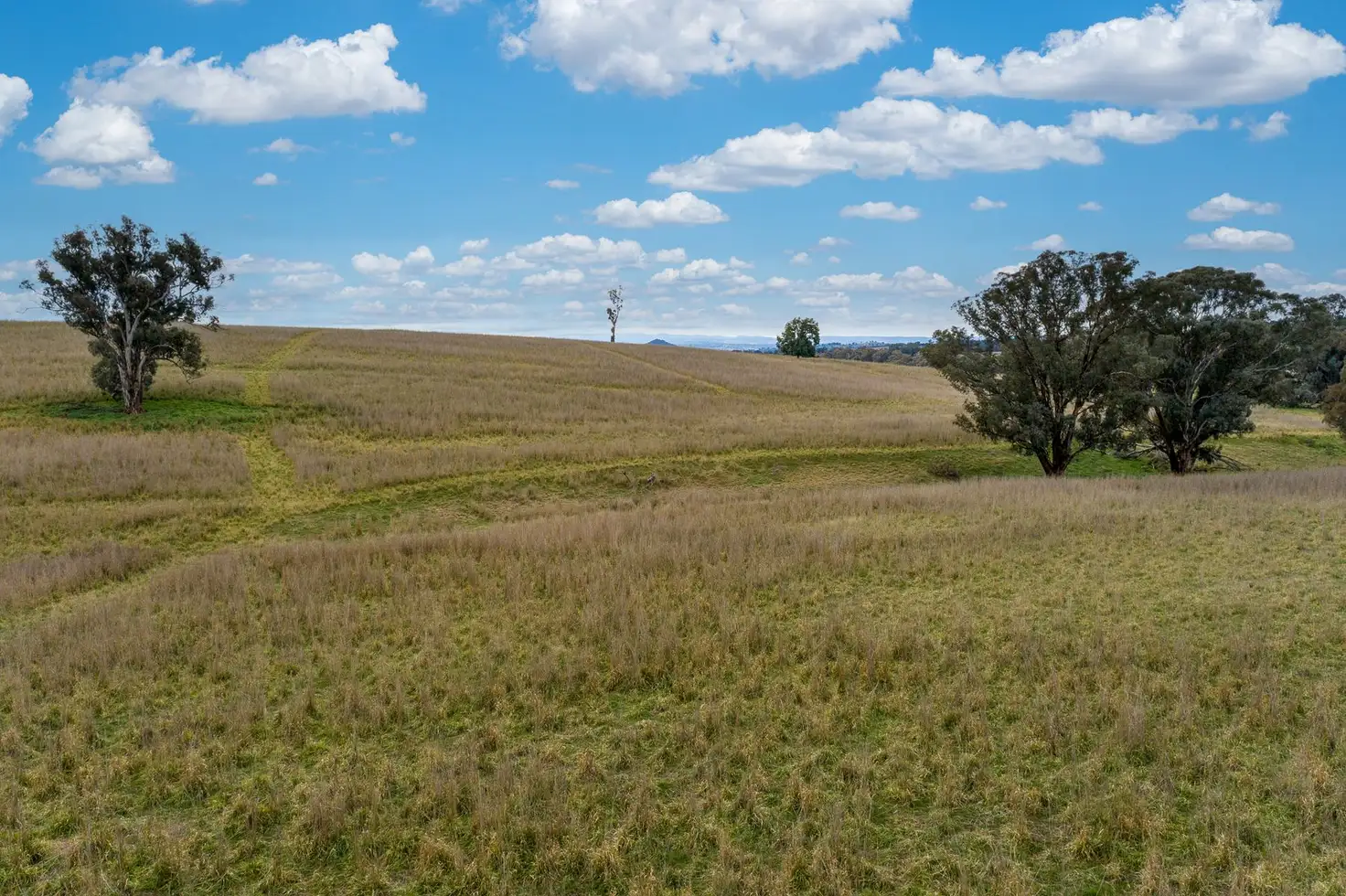 Main view of Homely rural property listing, 'Highview' Binni Creek Road, Woodstock NSW 2793