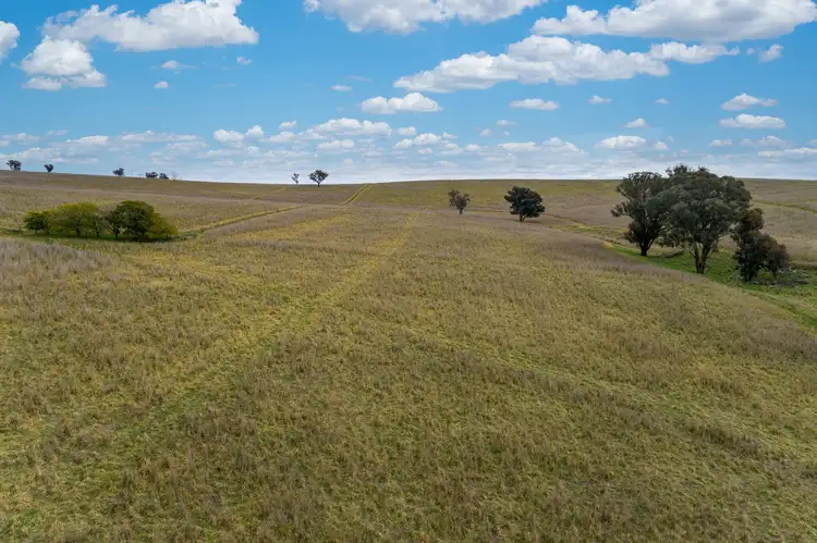 Third view of Homely rural property listing, 'Highview' Binni Creek Road, Woodstock NSW 2793