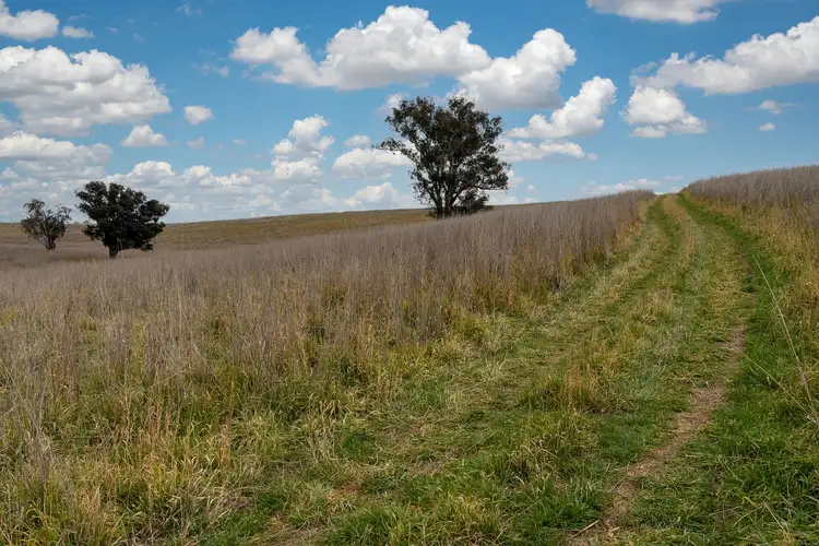 Fifth view of Homely rural property listing, 'Highview' Binni Creek Road, Woodstock NSW 2793