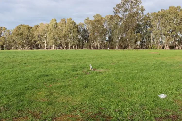 Second view of Homely land listing, 1 Barton Place, Cohuna VIC 3568