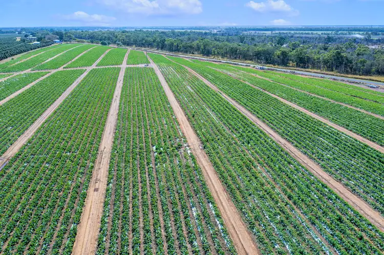 Second view of Homely rural property listing, Lot/2 Gooburrum Road, Gooburrum QLD 4670