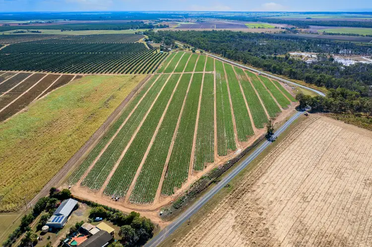 Third view of Homely rural property listing, Lot/2 Gooburrum Road, Gooburrum QLD 4670