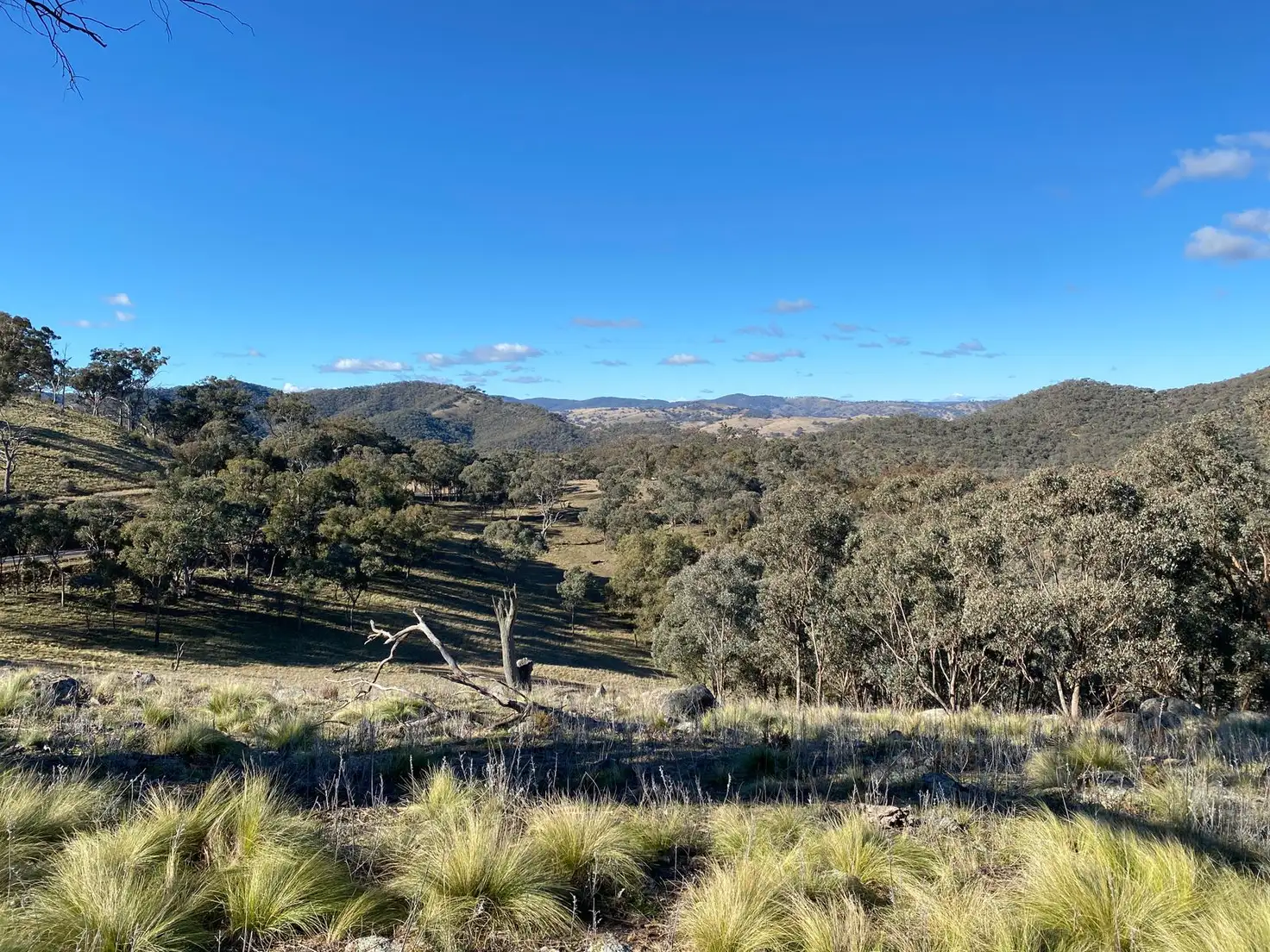 Main view of Homely rural property listing, 1033 Hill End Road, Crudine NSW 2795