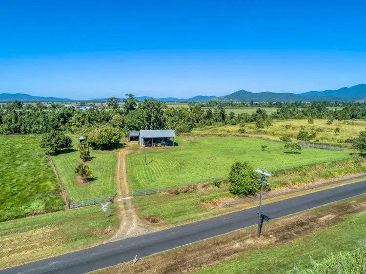 Main view of Homely rural property listing, 91 Walter Lever Estate Road, Silkwood QLD 4856