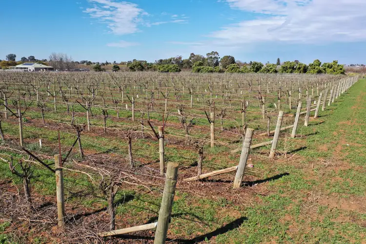 Second view of Homely rural property listing, Lot 3/211 Main Avenue, Merbein South VIC 3505
