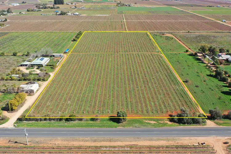 Fifth view of Homely rural property listing, Lot 3/211 Main Avenue, Merbein South VIC 3505