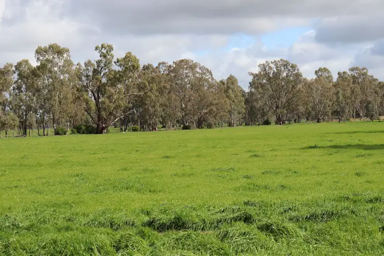 127 Orr's Road, Gannawarra VIC 3568