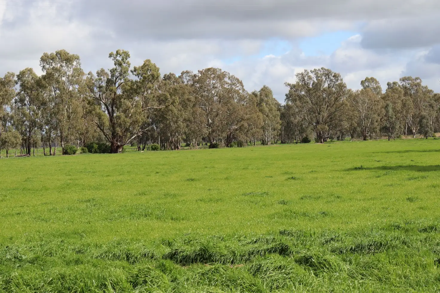 Main view of Homely rural property listing, 127 Orr's Road, Gannawarra VIC 3568